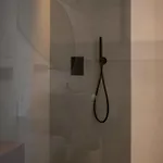 Radici